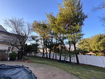 Photos by American Pride Tree Experts & Landscaping Inc #72