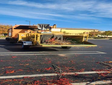 Photos by Pro M Tree Service #29