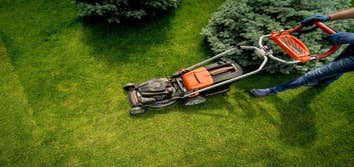 Irish Lawn and Landscaping