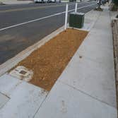 Photos by South Coast Stump Removal
