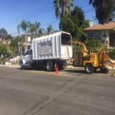Estates Tree Service