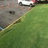 Jacksonville Hydroseeding