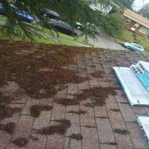 Photos from Elizas Skyhigh Roofing Llc