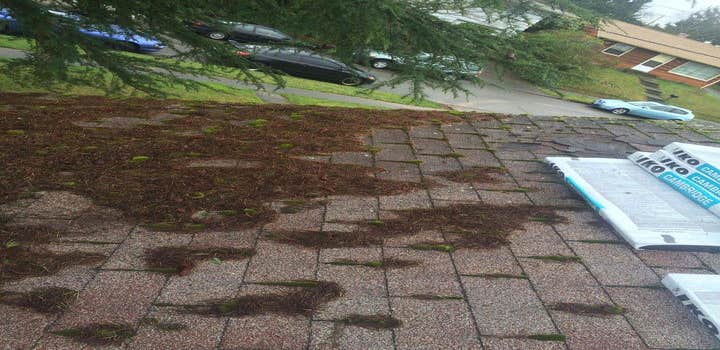 Photos from Elizas Skyhigh Roofing Llc