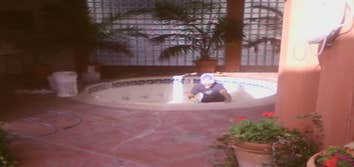 Pool Project 2