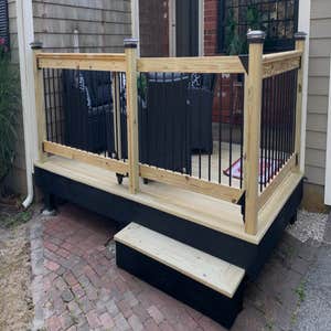 Photos by Frank Oliveira #2