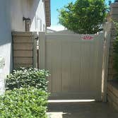 Vinyl Fence
