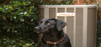 Environment Masters Plumbing and Air