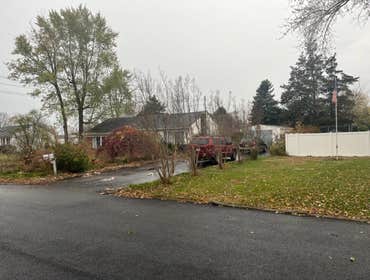 Photos by American Pride Tree Experts & Landscaping Inc #52