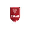 Valor Real Estate Construction logo