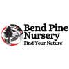 Bend Pine Nursery logo