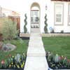 Custom Landscape logo