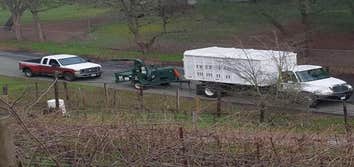 Junior's Tree Services Inc