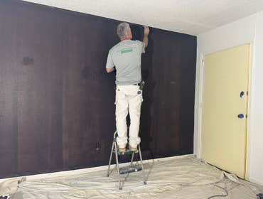 Photos by McEvoy Painting #1 Repaired damaged walls and trim after a move in. Repaint ceilings walls and woodwork