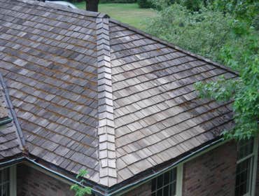 Wood Roof