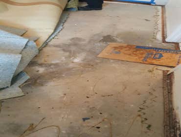 Photos from America Top Restoration