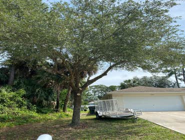 Photos by Arbobella Tree Service #1