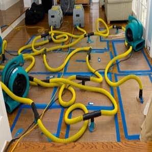 Mold Remediation Fort Collins