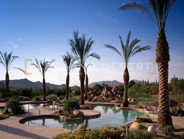 Photos by Blooming Desert Construction Inc #1