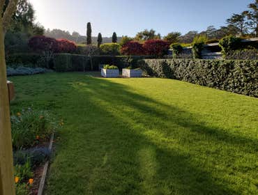 Photos by Tuyub Landscaping #34