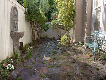 Photos from Middleton Gardens