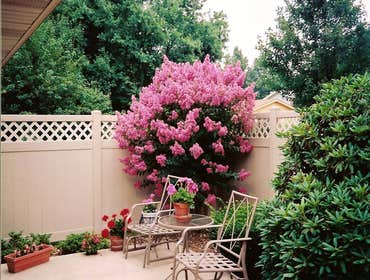 Photo(s) from W Bar Y Fence Inc