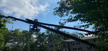 Backwoods Tree Service