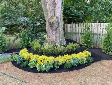 Photos by Mendoza Landscaping & Lawn Service LLC #10