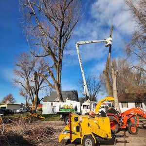 Hawks Tree Services LLC