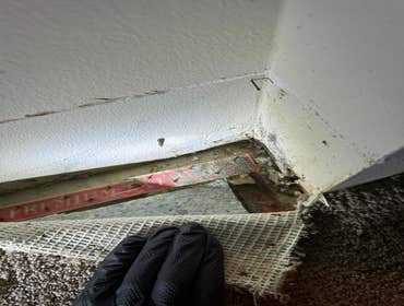 Water Mitigation This project was a roof leak the photos show initial inspection to post demo.