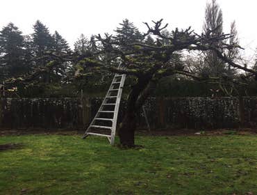 Photos by Best Cuts Lawn Care #1