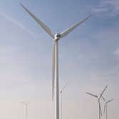 Photos by Brux Sustainable Measures Consultant #1