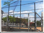 Fences