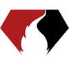 Diamond Fire Protection Co logo