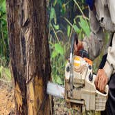 Big Easy Tree Removal: New Orleans Tree Service & Grinding Company