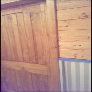 Ceder Wall Covering