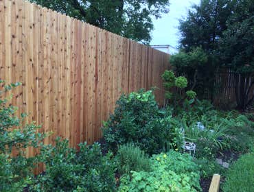 8' Cedar Fence with 10' steel poles