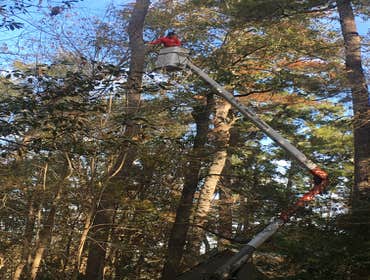 Photos by Santana Tree Service LLC #1