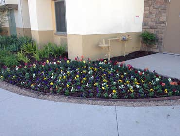 Photos from SB Evolution Landscape