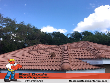 Photos by Red dog's Roofing of Florida #1