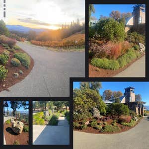 Photos by Sierra Gold Landscaping #2