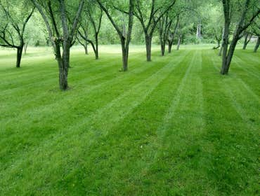 Lawn Care
