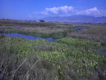 Kelson, Cardon, Ogden River Restoration & Wetland The Kelson Estate Landscape, Cardon Pond construction, Cache Valley Wetland Restoration and the Ogde