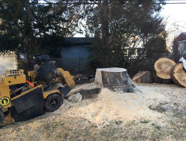 Photo(s) from Treeworkz, LLC