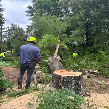 Anthony's Tree Service LLC