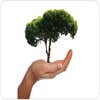 Final Touch Tree Services LLC logo