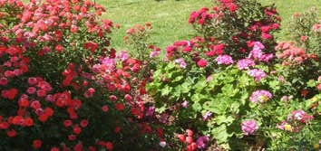 Photos by Anthos Landscaping LLC #1