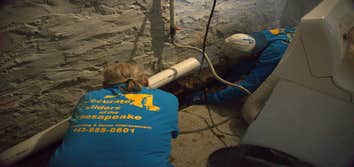 Accurate Builders of the Chesapeake
