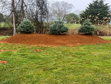 Photos by Mendoza Landscaping & Lawn Service LLC #14