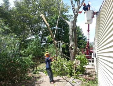 Works by North Fork Tree & Lan